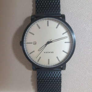 스카겐 헤이븐 시계 SKW6326