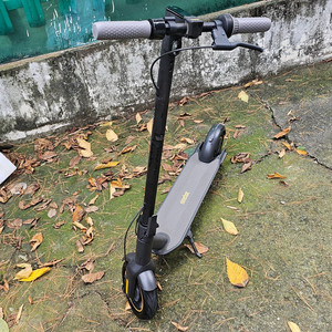나인봇 G30 Max (Ninebot G30 Max)