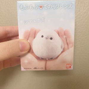 테노리프렌즈 흰오목눈이 미개봉