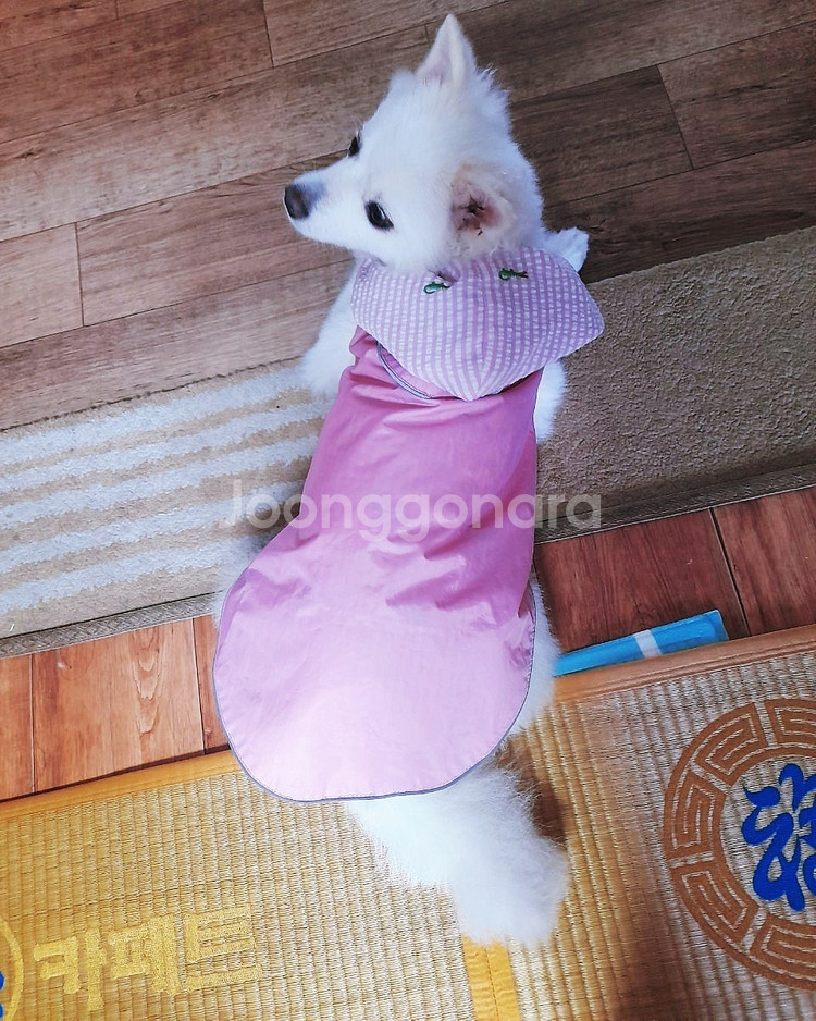 더월씨독(THE WORTHY DOG)우비 (45~58)--0