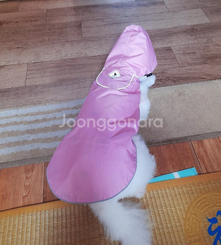 더월씨독(THE WORTHY DOG)우비 (45~58)--3