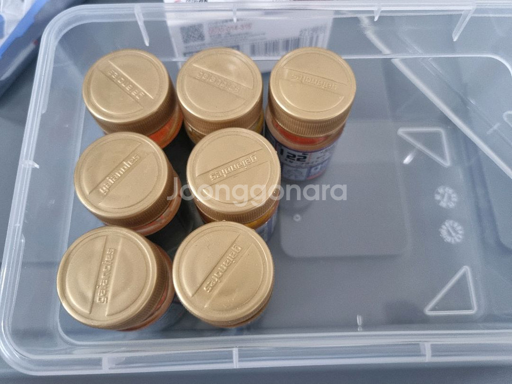 가이아노츠 스타브라이트 골드--0