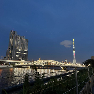 롯데시네마 일반예매권 2D 예매