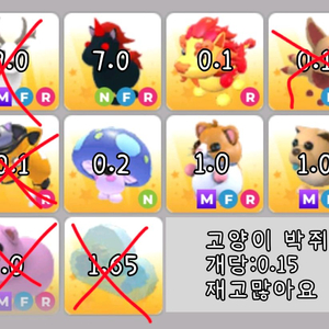 입양하세요