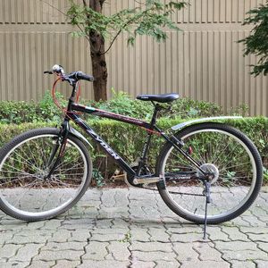 자전거 스트라이다 접이식 자전거