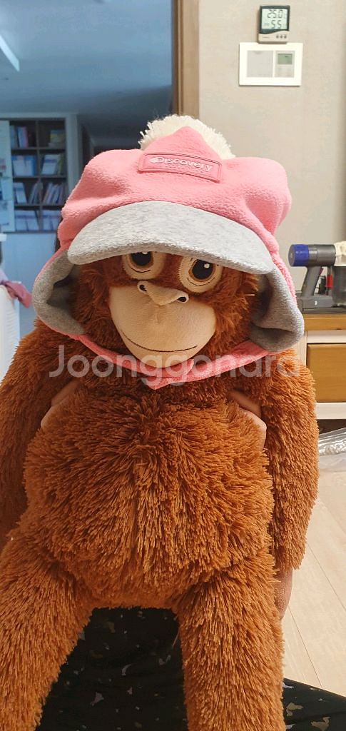 디스커버리 여아 겨울모자--1