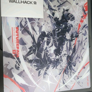 월핵 WALLHACK FUTUREFALL 넘버링1843