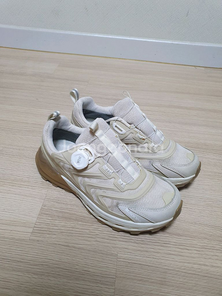 블랙야크 고어텍스 트레킹화 250--1
