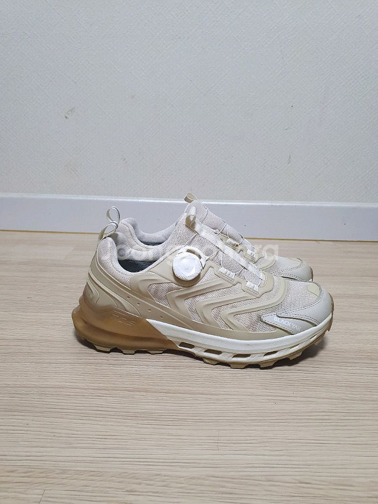 블랙야크 고어텍스 트레킹화 250--0
