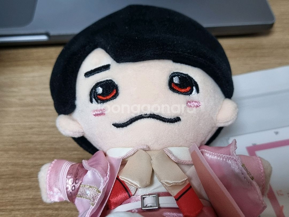 나니와단시 니시하타 다이고 누이 아크스타 사진--1