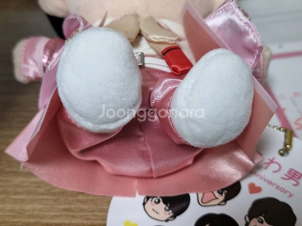 나니와단시 니시하타 다이고 누이 아크스타 사진--2