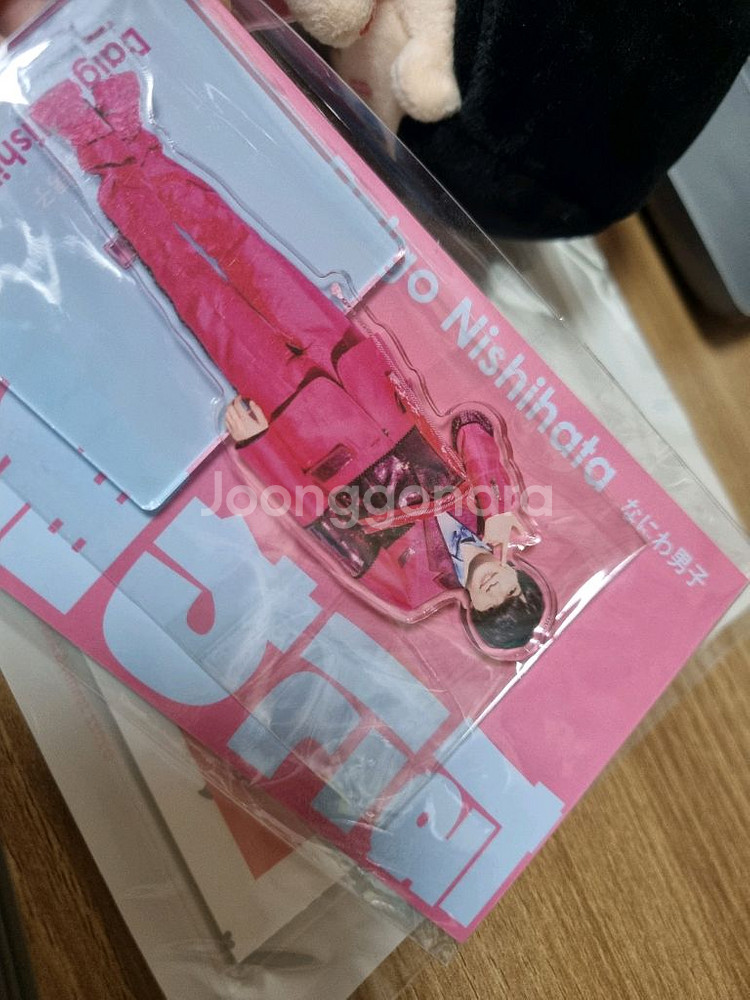 나니와단시 니시하타 다이고 누이 아크스타 사진--3