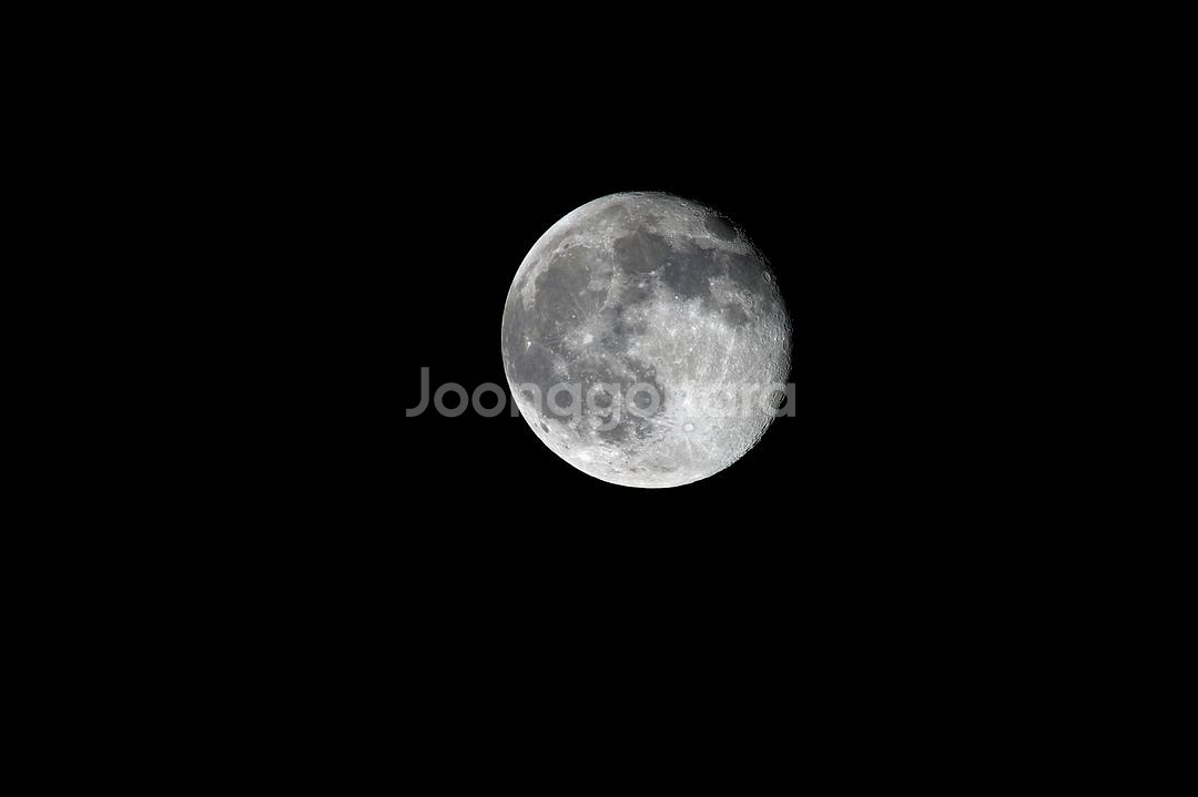 니콘 MF ED 600mm F4/ 대포용 시스템 삼각대--4