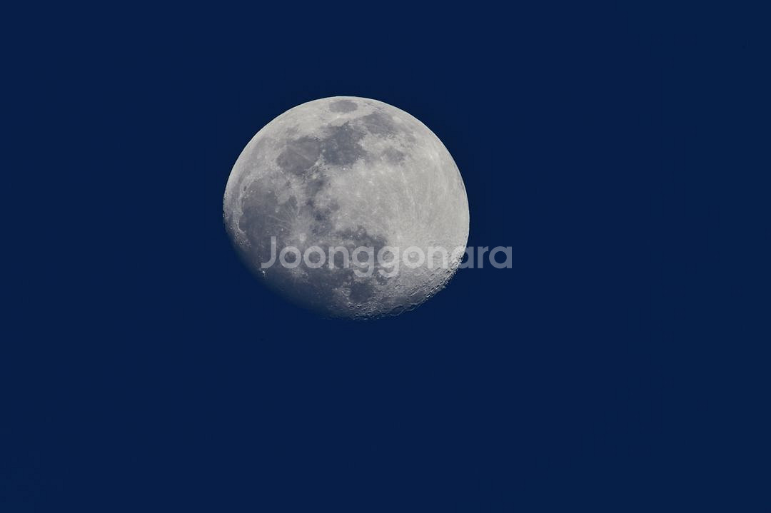 니콘 MF ED 600mm F4/ 대포용 시스템 삼각대--5