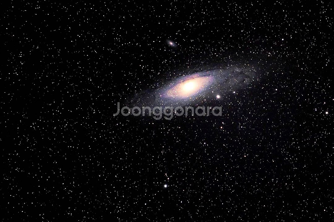 니콘 MF ED 600mm F4/ 대포용 시스템 삼각대--7