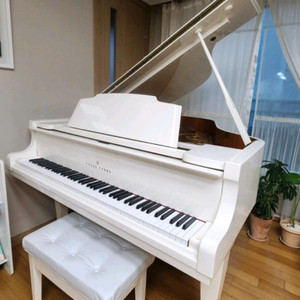 영창 그랜드 피아노