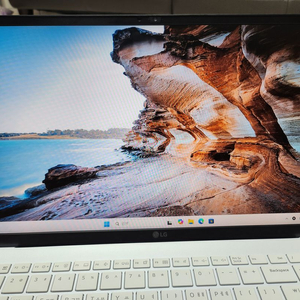 LG그램2022 노트북 15ZD90Q-GX56K 1TB