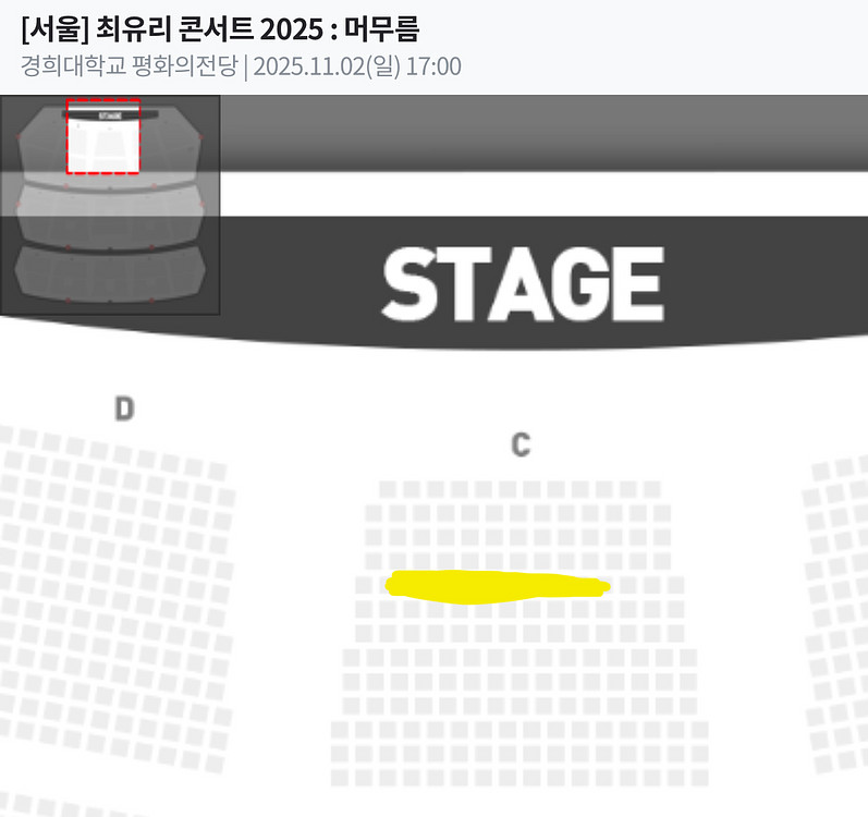 2025 서울 최유리 콘서트 일요일 C구역 5열--0