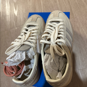 아디다스 스페지알 원더베이지 220