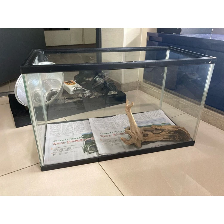 파충류 양서류 곤충 사육장 유리 케이스 - 안심되는 중고거래