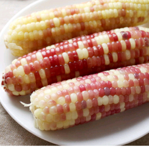 탱글탱글 홍찰 냉동 삶은 찰옥수수 40개(10~12cm