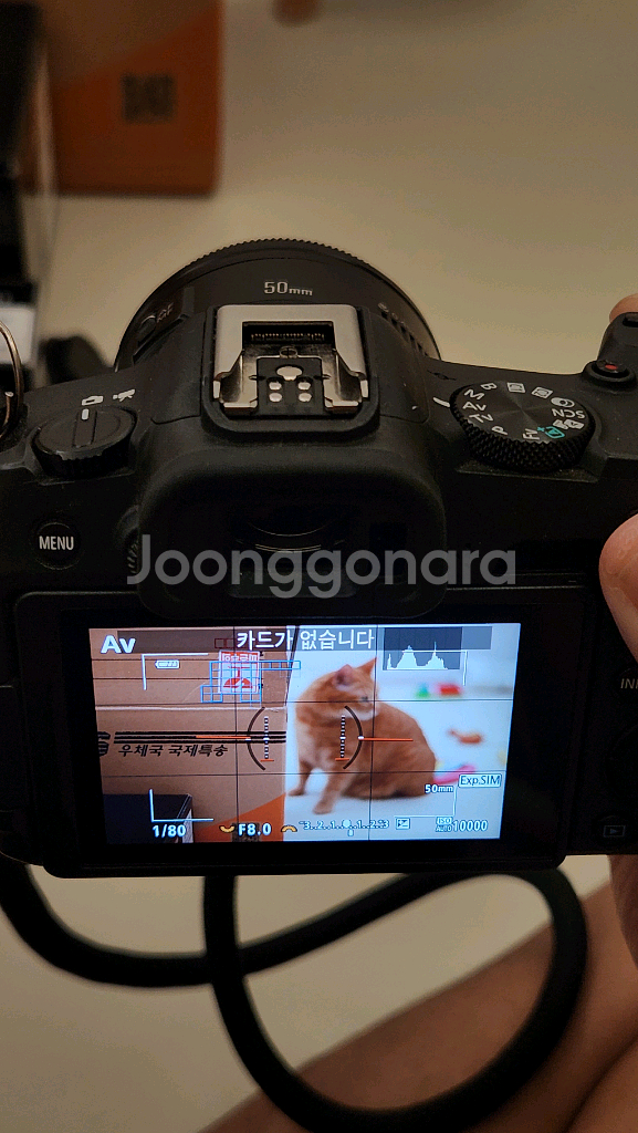 캐논 R8+ rf24-105 + rf35 + ef50--2