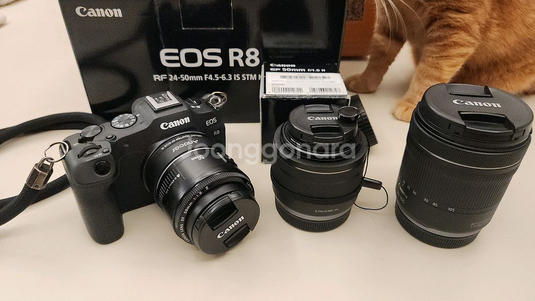 캐논 R8+ rf24-105 + rf35 + ef50--0