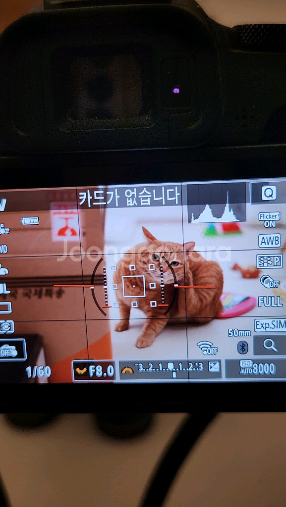 캐논 R8+ rf24-105 + rf35 + ef50--1