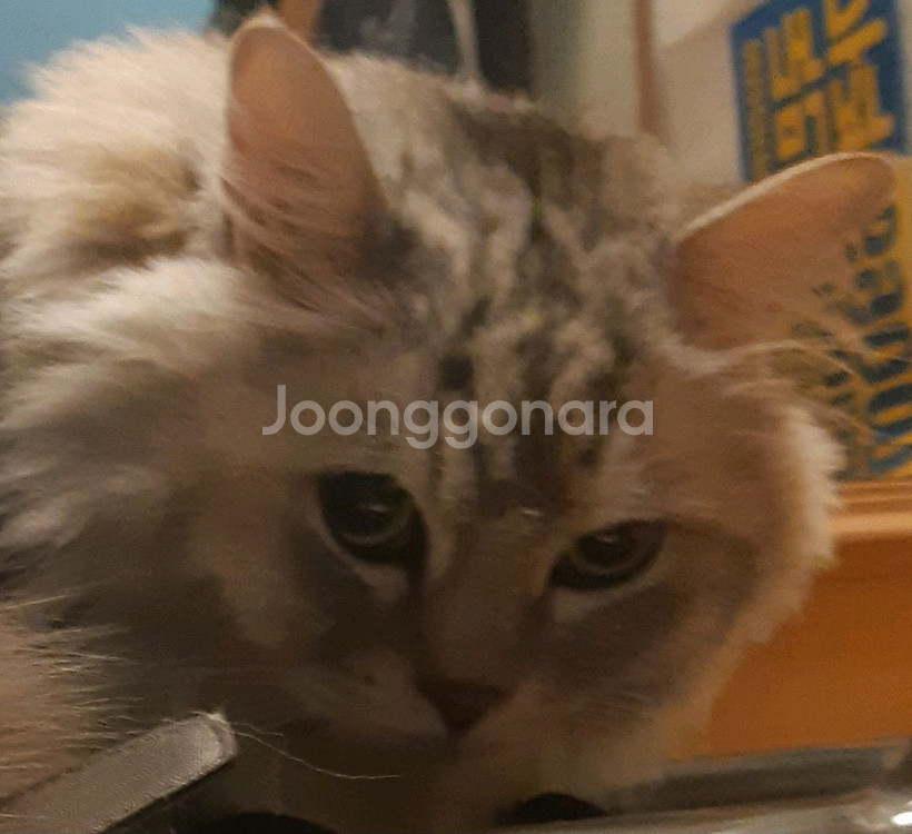 2026 이해원 n제 수2 미적 시즌 1, 2--0