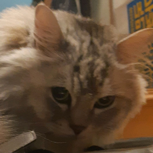 2026 이해원 n제 수2 미적 시즌 1, 2