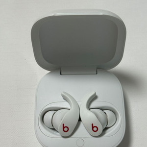 애플 비츠 핏 프로 이어폰