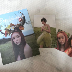 유아 숲의아이 앨범