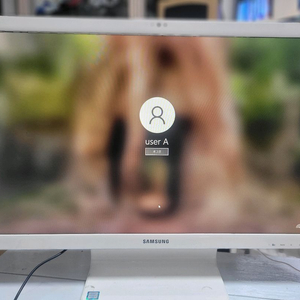 삼성(DM700A4K-KN35) 올인원 PC