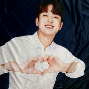 이찬원 웰더마 무릎담요