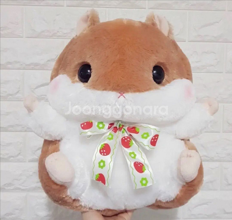 일본정품-어뮤즈 코론 빅사이즈 인형--0