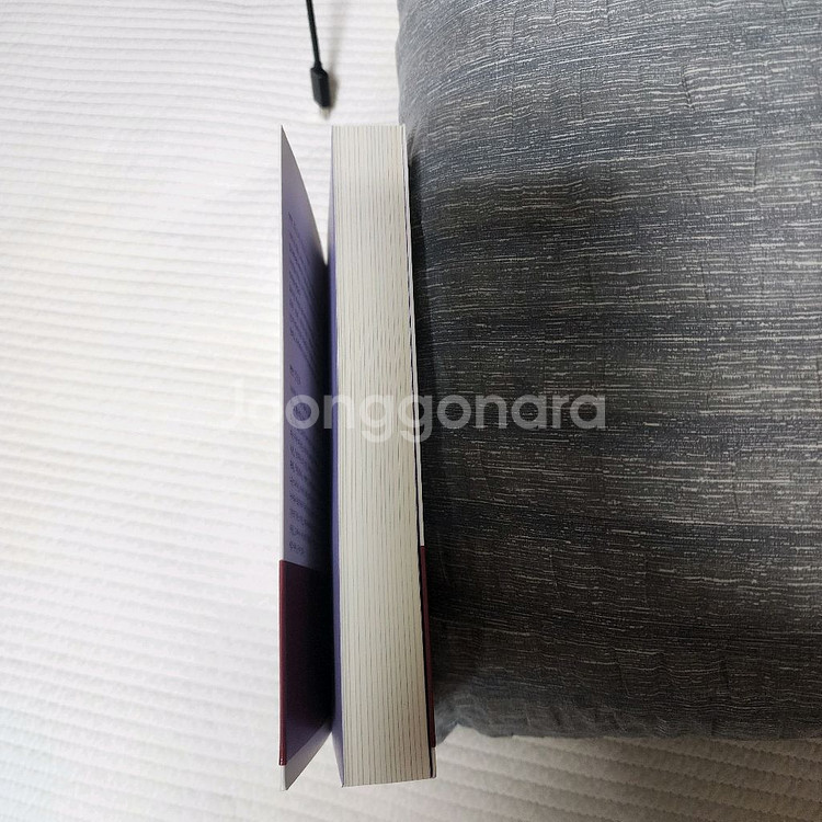 (중고서적) 호소다 마모루 장편소설 용과 주근깨 공주--4