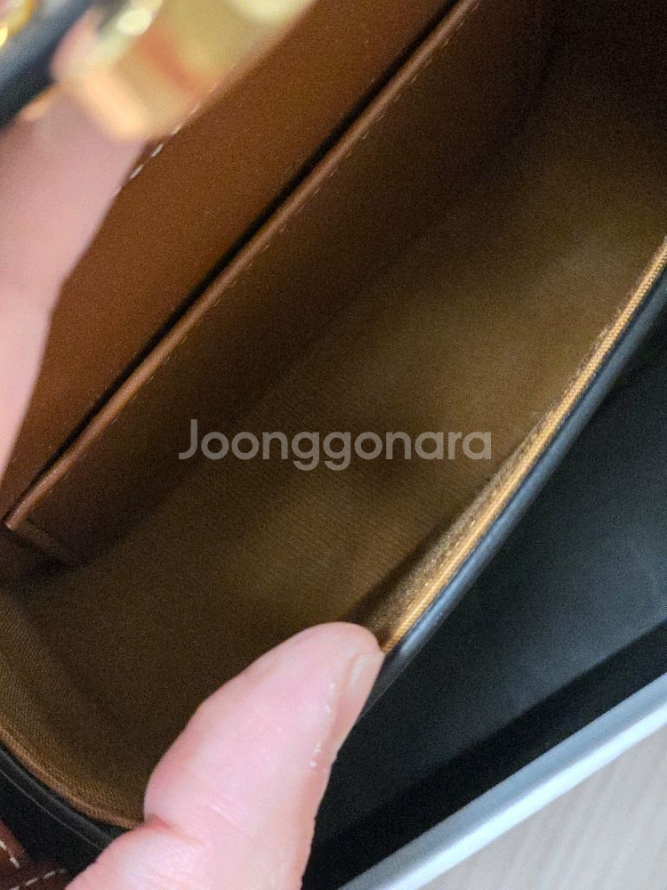 셀린느 미니 클로드--5