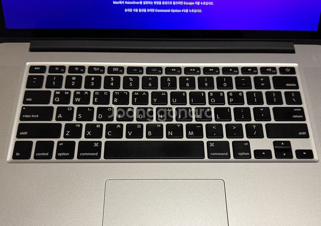 MacBook Pro (Retina Mid 2015)--6