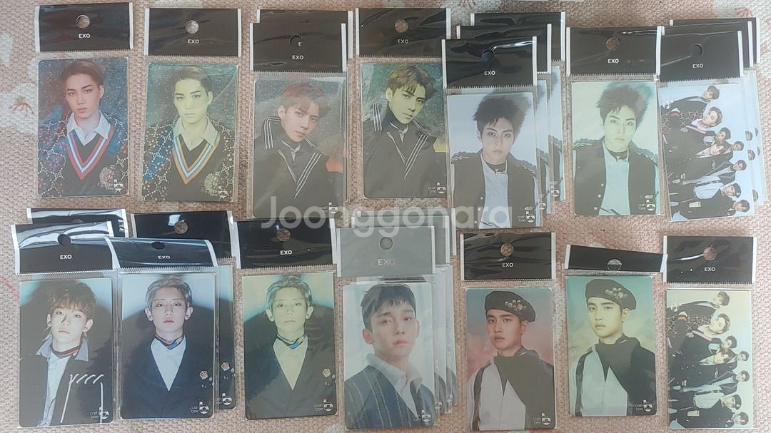 엑소 교통카드--0