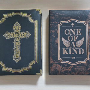 빅뱅 지드래곤 ONE OF A KIND 골드+브론즈