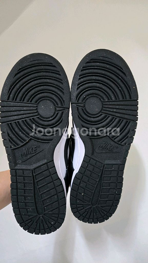 나이키 덩크로우 여성용 245 us7.5--4