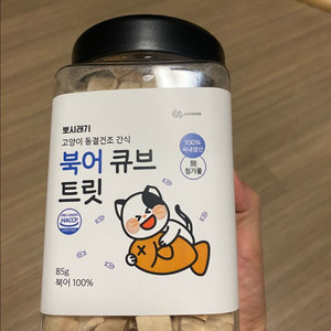 뽀시래기 북어 큐브 고양이