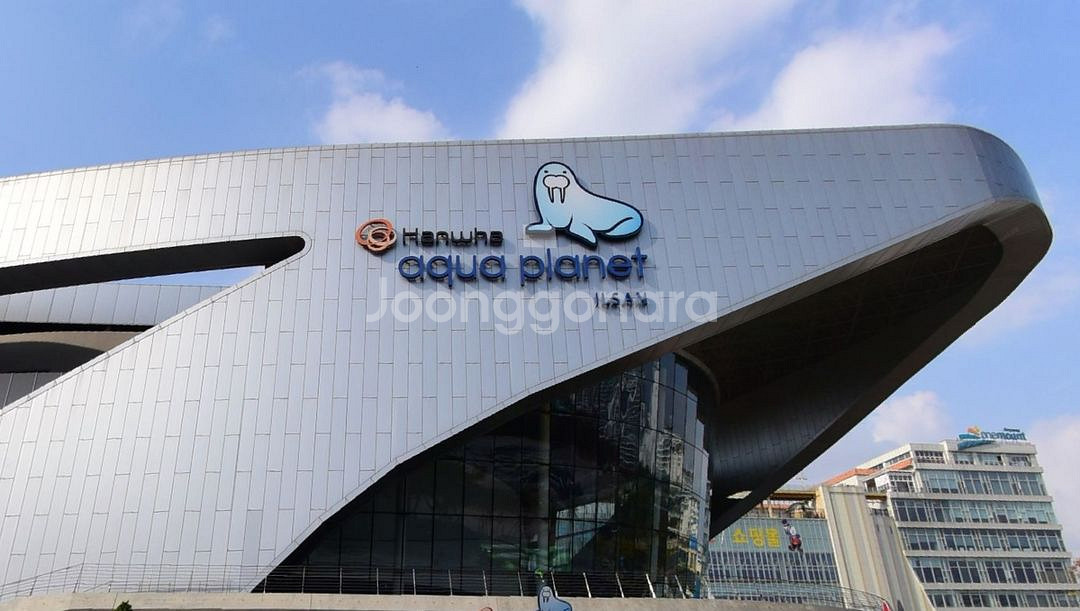 일산 아쿠아플라넷 종합권--0