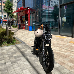 X-RIDER(엑스라이더) x200프로 전기자전거