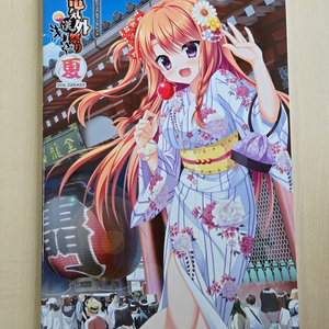 덴키가이 축제 2016 SUMMER 일러스트집