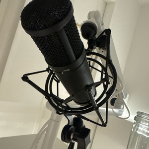 tascam tm-280 콘덴서 마이크 15만