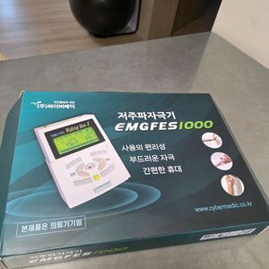 EMSGFES