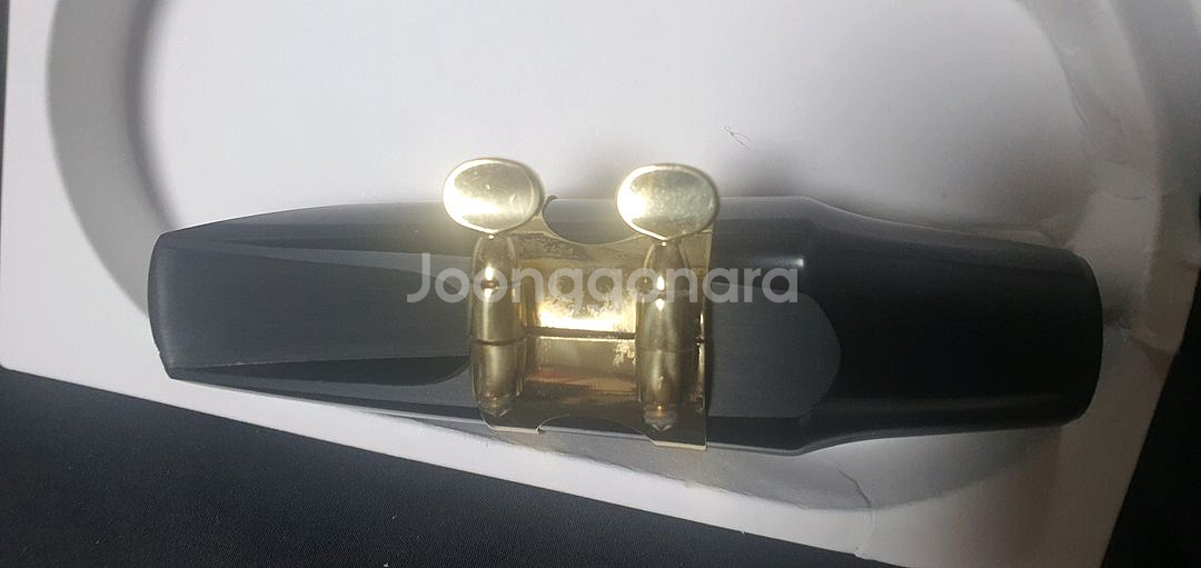 셀마테너 S80 C+마우스피스--1