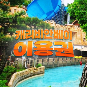 캐리비안베이 종일권