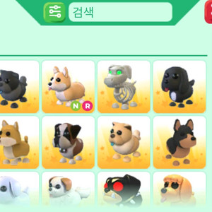 입양하세요 강아지 펫 구해요
